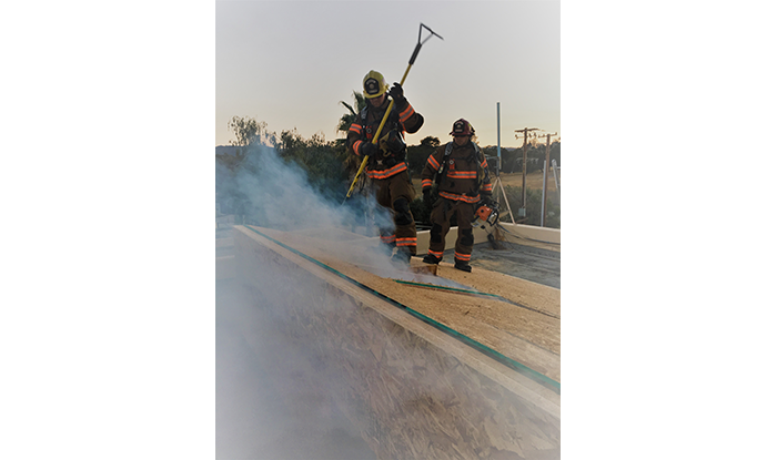 Roof Training